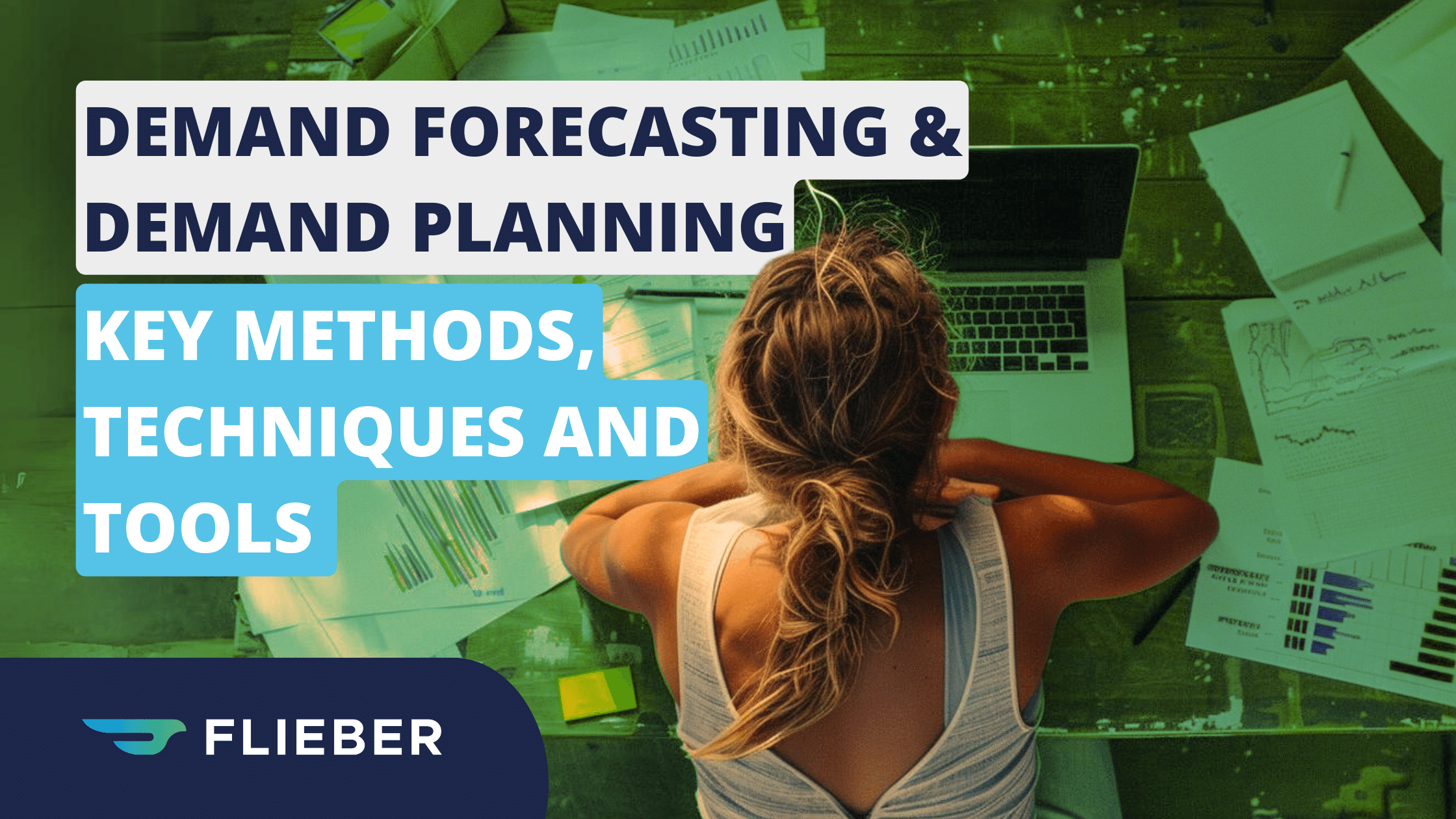 24 03 14 Blog   Demand Forecasting Vs. Demand Planning (1) 